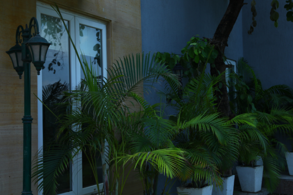Untitled-design-16